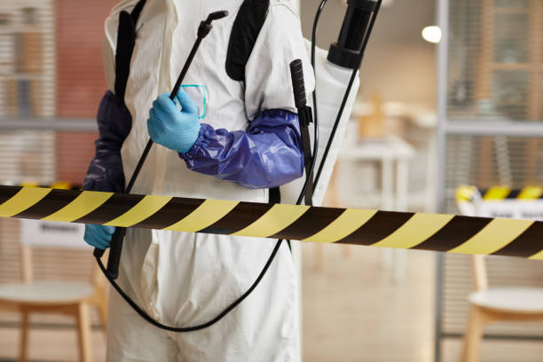 Professional Blood Cleanup technician working in Albany, CA